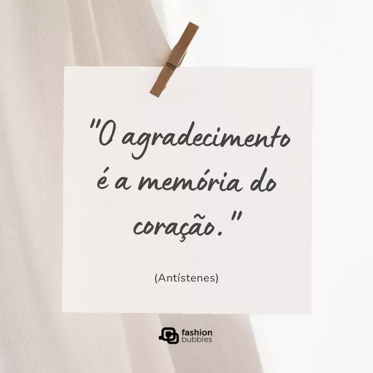Dia da gratidão...